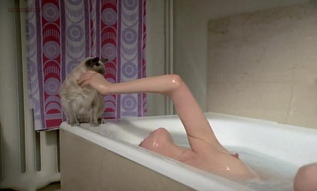 Jane Birkin nudes xxx video from Melancoly Baby (1979)